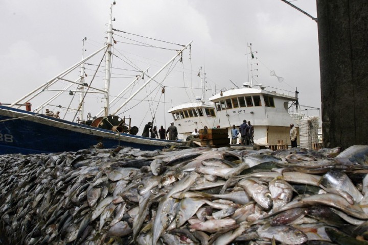 Le vote du Parlement européen contre la pêche en eaux profondes